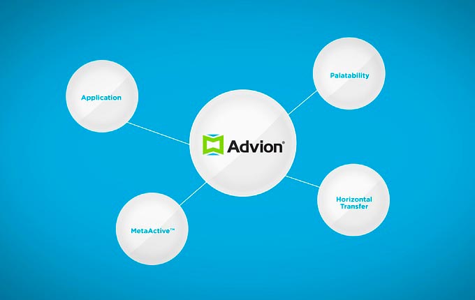 The Advion Brand